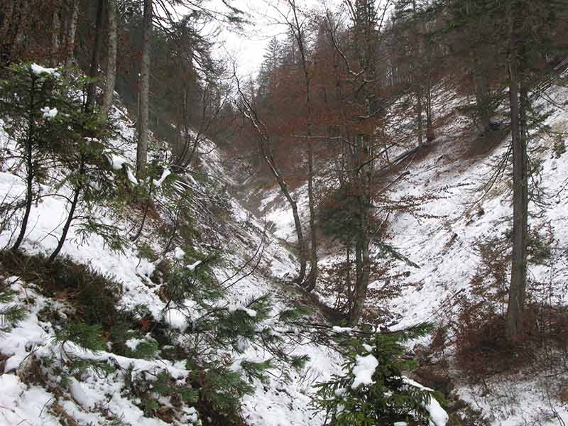 siebenkogel